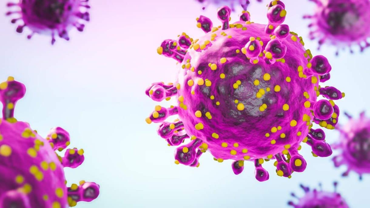 Ilustración de mapa con zonas afectadas por el virus Oropouche en América Latina