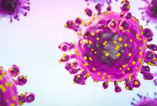 Ilustración de mapa con zonas afectadas por el virus Oropouche en América Latina