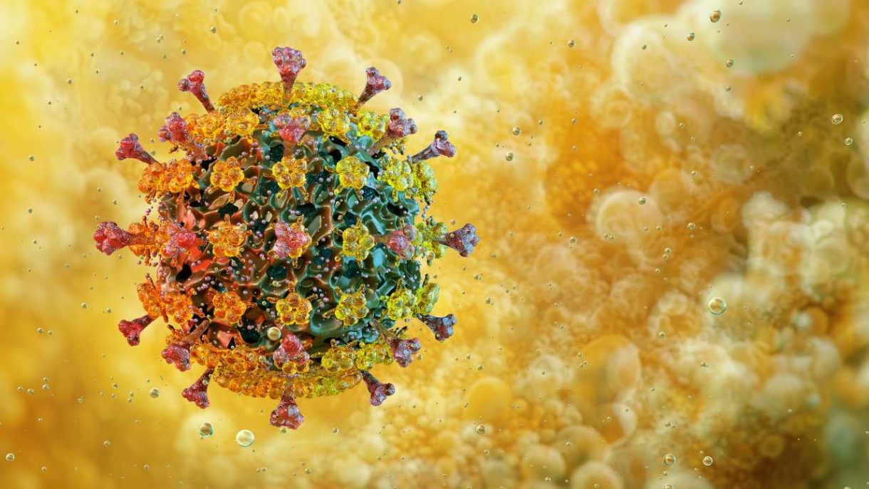 Representación del virus H5N1 asociado a la gripe aviar en Estados Unidos.