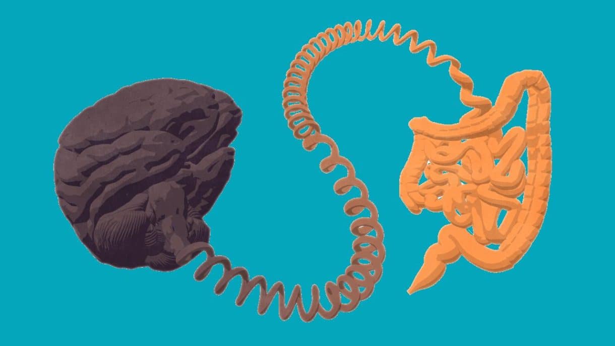 Conexión entre intestino y cerebro en alzhéimer y párkinson