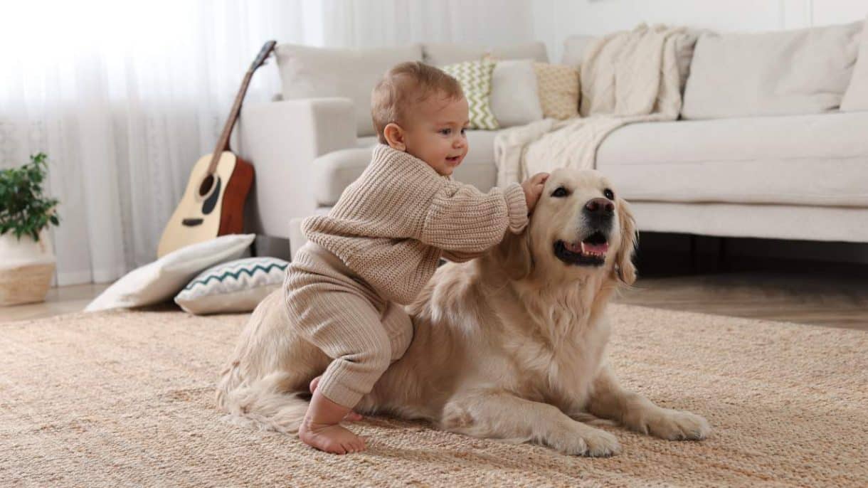 Bebé jugando con un perro que simboliza la protección contra el asma infantil 