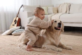 Bebé jugando con un perro que simboliza la protección contra el asma infantil 