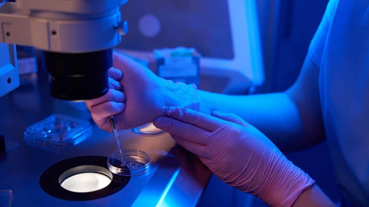 Óvulo humano generado en laboratorio a partir de células de la piel.