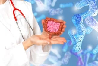 Representación del intestino y la microbiota en las manos de una persona