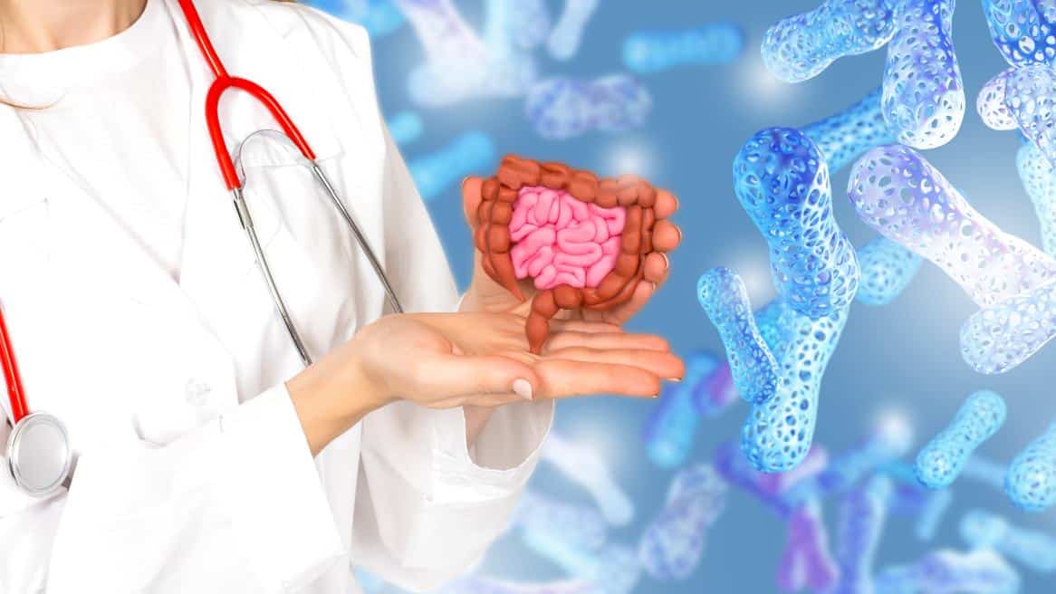 Representación del intestino y la microbiota en las manos de una persona