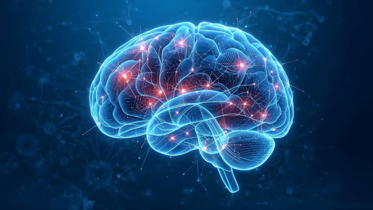 Imagen del cerebro humano con actividad neuronal