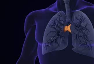 lustración que muestra qué es el el timo, dónde está en el cuerpo humano y su relación con el sistema inmunitario