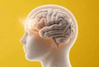 Ilustración de un cerebro humano que representa la maduración de la corteza prefrontal durante la juventud