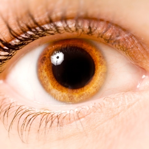 los ojos