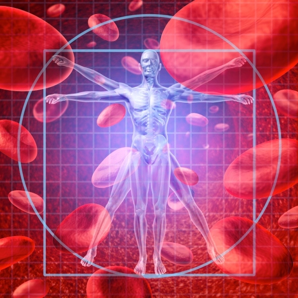 El riesgo cardiovascular puede predecirse chequeando el colesterol bueno