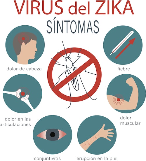 Lo que debes saber sobre el Virus del Zika
