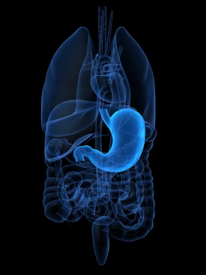 cáncer de estómago