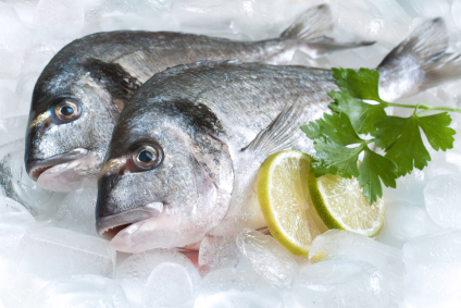 pescado y embarazo