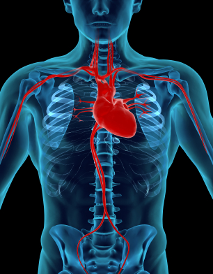 8 Consejos para reducir el riesgo de desarrollar la enfermedad de las arterias coronarias (del corazón)