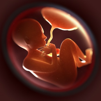 Tratamientos de fertilidad y defectos congénitos ¿Existe una relación?
