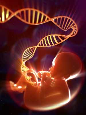 Cuando una de las pruebas clínicas del embarazo tiene un resultado anormal. Lo que se puede esperar.