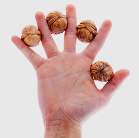 Un puñado de nueces, por favor – éstas parecen mejorar la calidad del semen y la fertilidad masculina