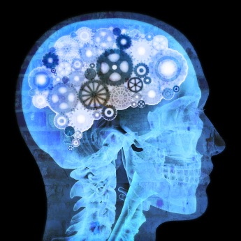 El ejercicio protege al cerebro que envejece