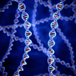 Encuentran 50 genes relacionados con la degeneración macular