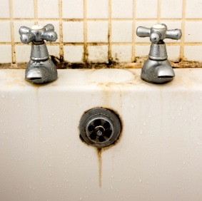 ¿Sufres de alergia al moho? Hazle frente y toma precauciones