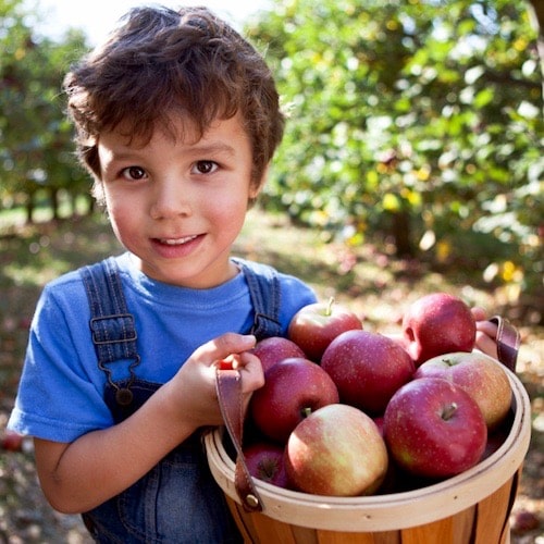 ¿Alimentos orgánicos o convencionales? El debate continúa…