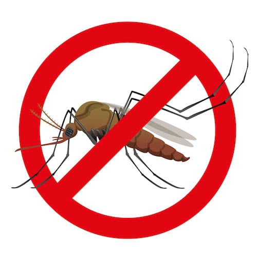Actualización sobre el Virus del Zika