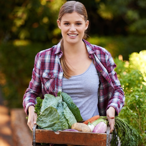 alimentos orgánicos