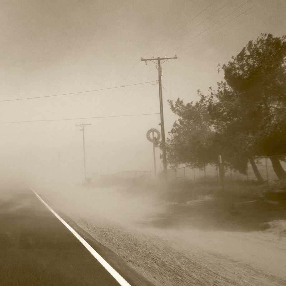 La Coccidiomicosis o <em>Valley Fever</em> – lo que debes saber