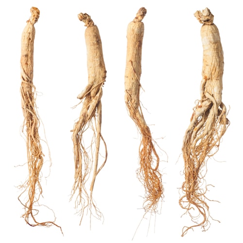 el-ginseng-en-la-salud