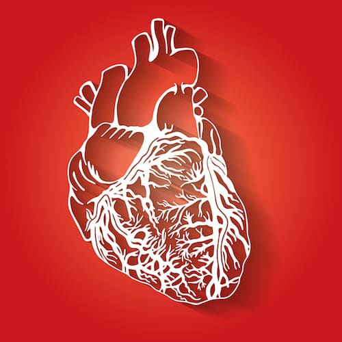 trasplante de corazón